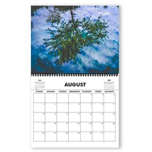 Marshland Habitat Calendar